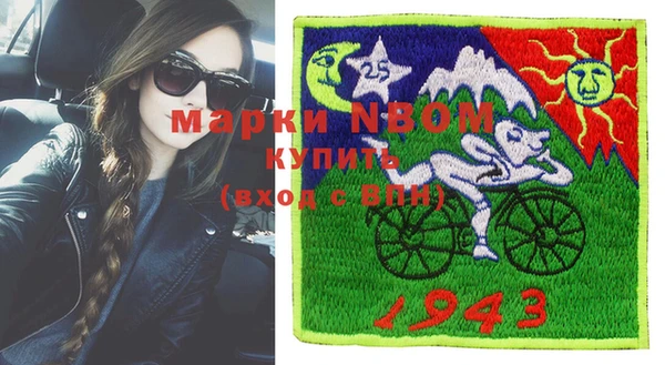 шишки Абаза