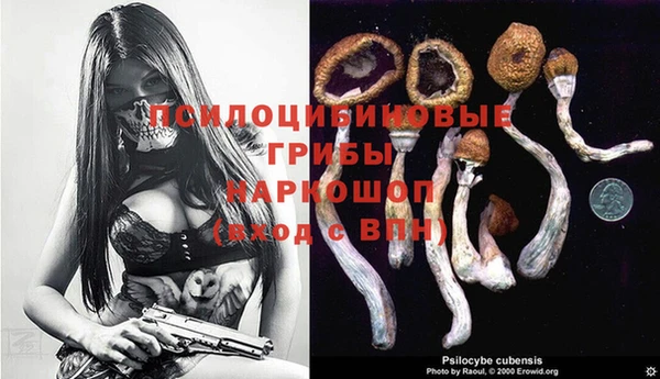 амф Абдулино