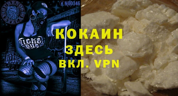 шишки Абаза