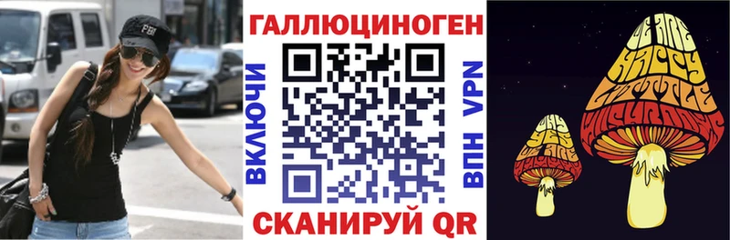 Псилоцибиновые грибы Psilocybe  купить   Усть-Илимск 